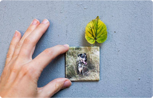 The Perfect Personalized Gift? Custom Photo Magnets!
