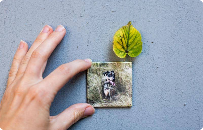 The Perfect Personalized Gift? Custom Photo Magnets!